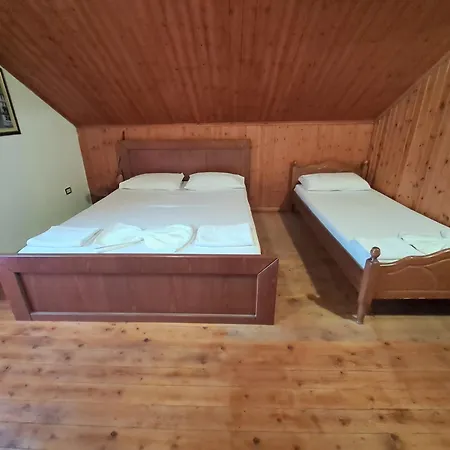 Argjiro Castle 2* Gjirokastër
